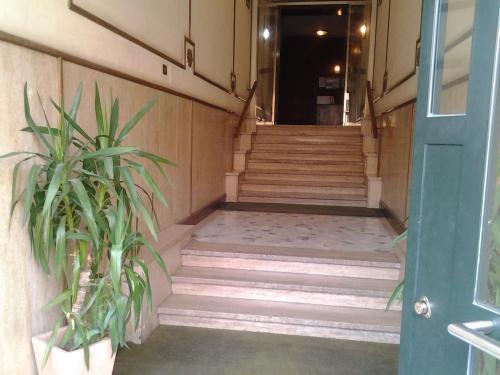 Colosseo Suite Apartment Rom Exterior foto